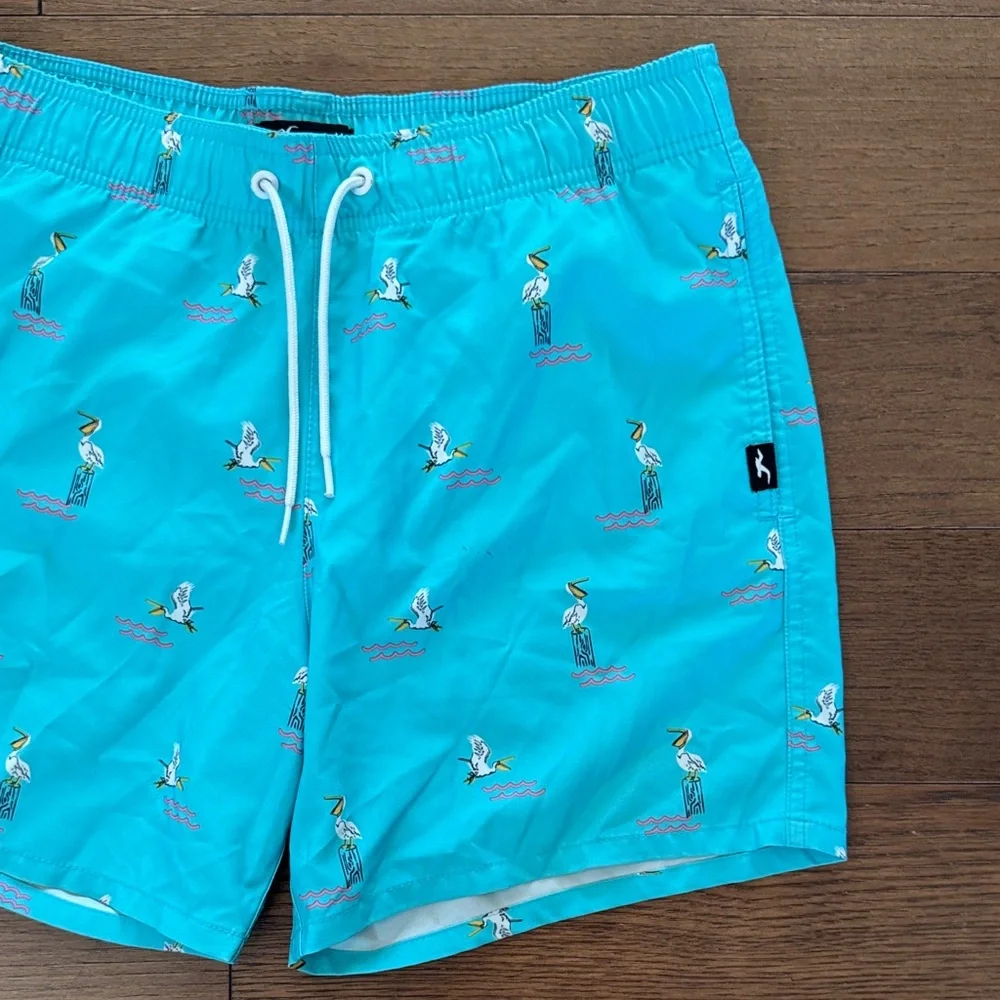 Hollister Turquoise Pelican Print Swim Trunks
